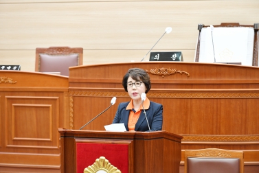 제228회 보령시의회 임시회