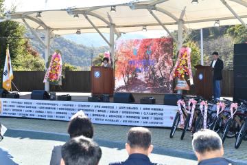 2024년 제21회 성주산 단풍축제