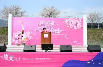 제20회 주산 벚꽃 축제