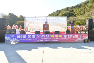 제6회 보령오서산 억새꽃 등산대회