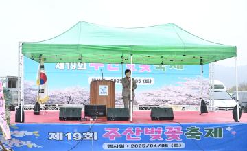 제19회 주산벚꽃축제