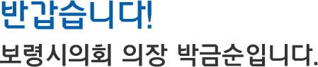 반갑습니다! 보령시의회 의장 최은순입니다.